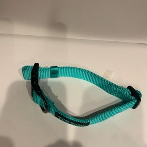 Never used teal adjustable, dog collar. Best for medium to large dogs